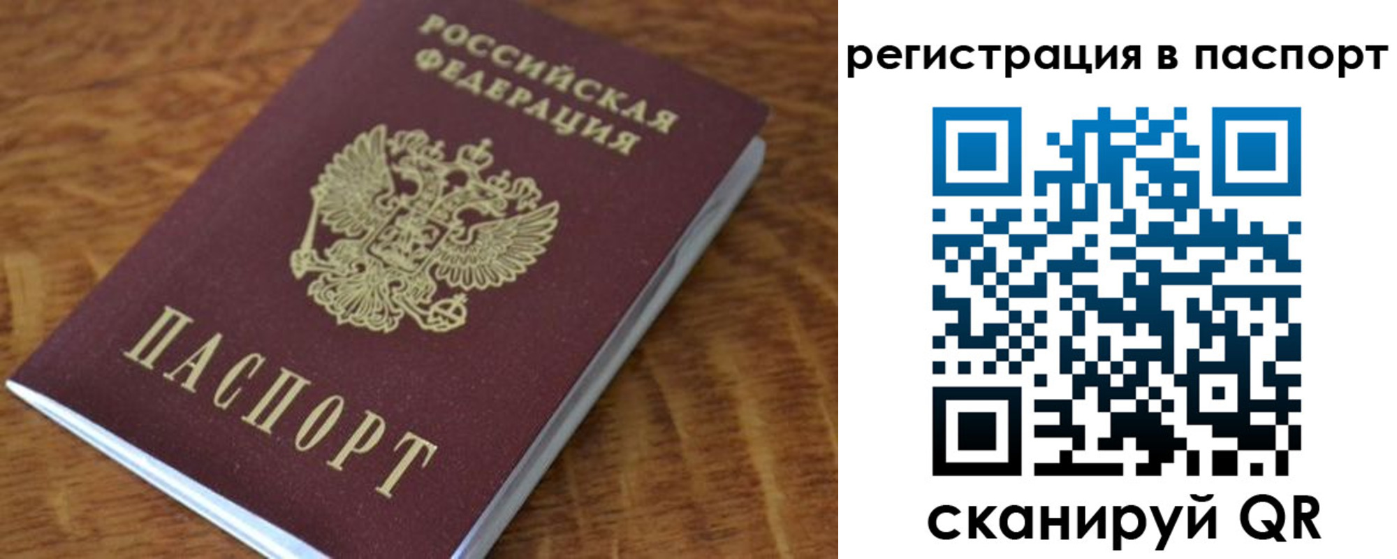 регистрация для школы в Лосино-Петровском