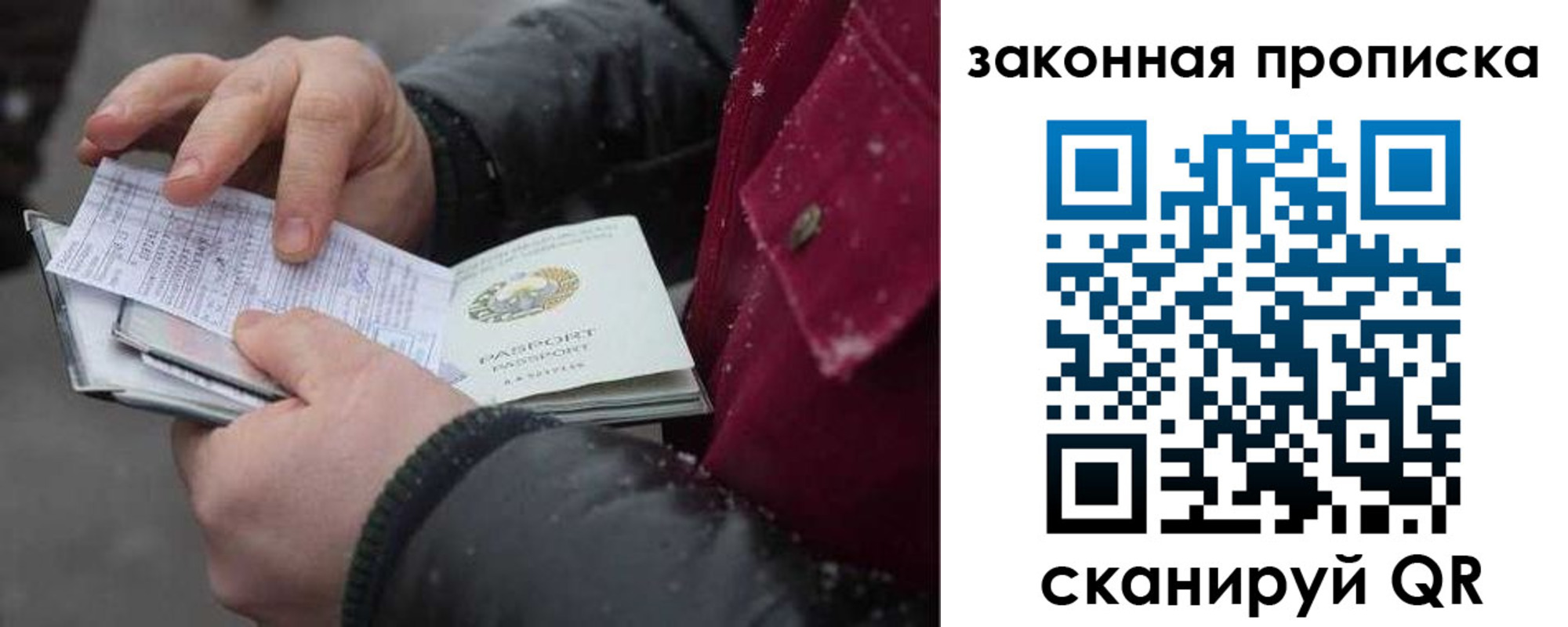 прописка поиск в Лосино-Петровском